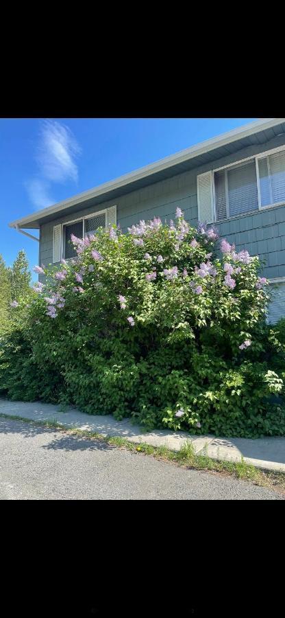 Lovely Two Bedroom, Minutes Away From Downtown Anchorage Buitenkant foto
